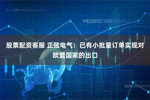 股票配资客服 正弦电气：已有小批量订单实现对欧盟国家的出口